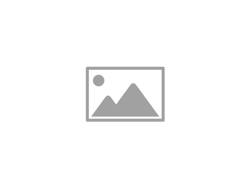 S1230031 1